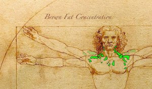 shiver-270214-photo-full-width